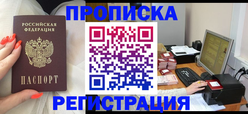 где прописаться в Камышине